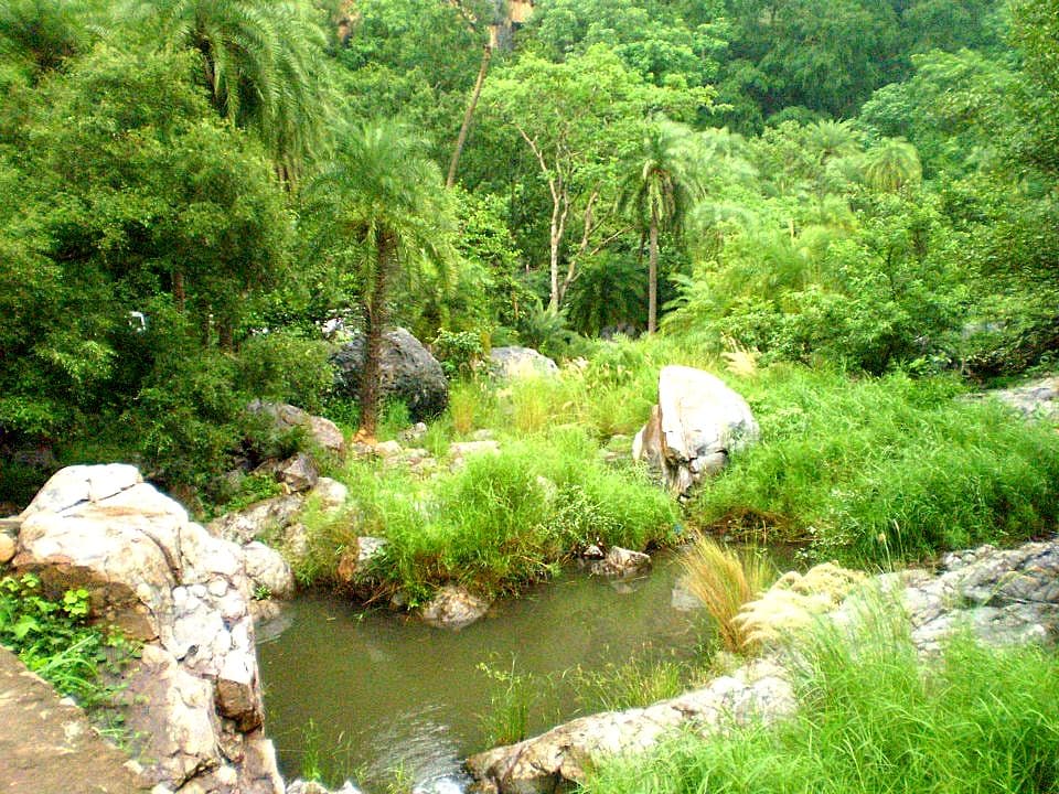 Sundarbans Tiger Reserve