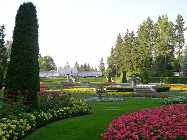 Colton City Park Rose Garden