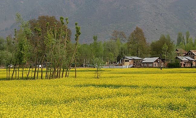 Sangam Bagh Garden