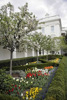West Park Rose Garden Tea