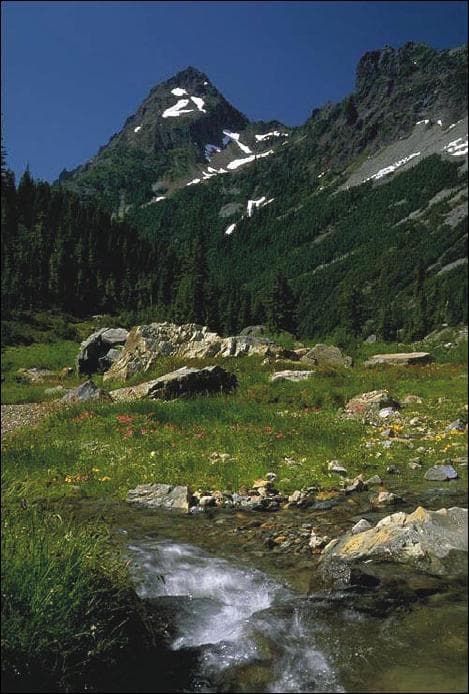 Mount Baker-Snoqualmie National Forest