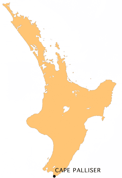 Cape Palliser Lighthouse