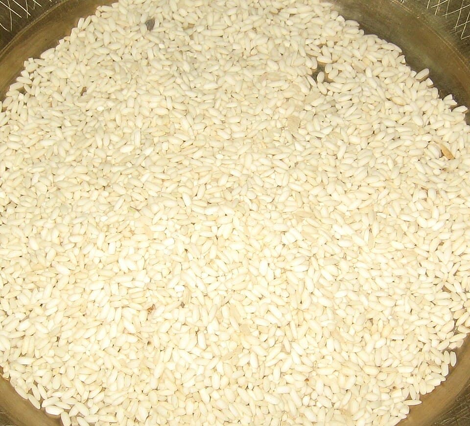 Jolpan