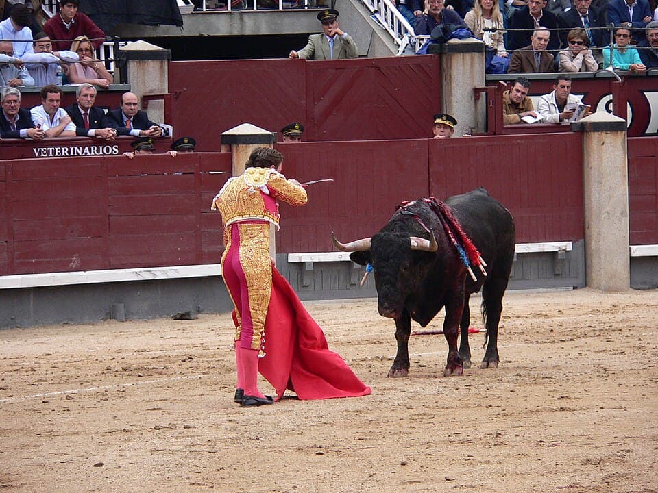 Matador Costume