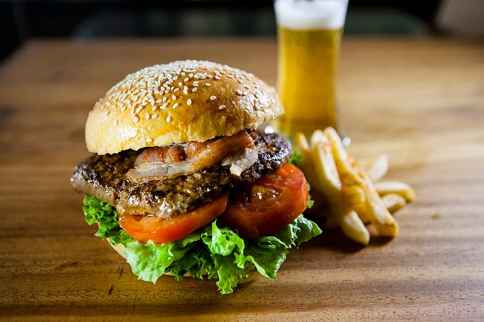 Bison Burger