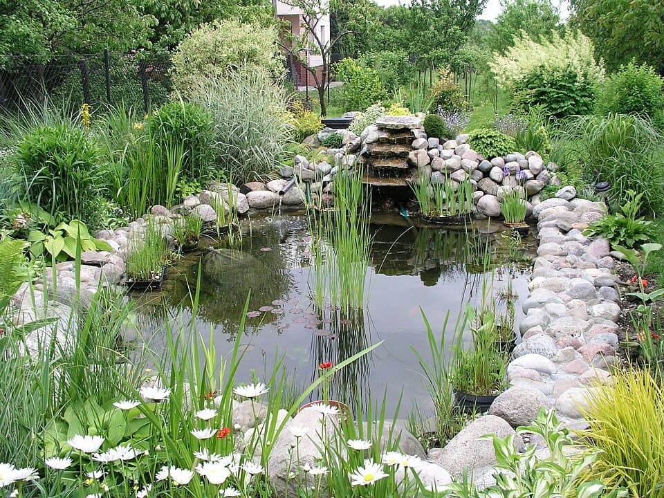 Aquatic Gardens