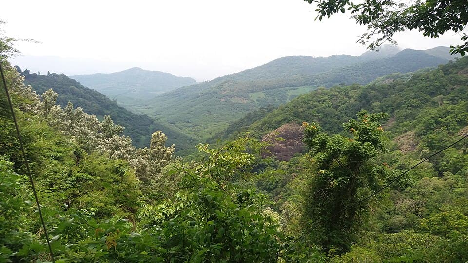 Mattupetty Dam