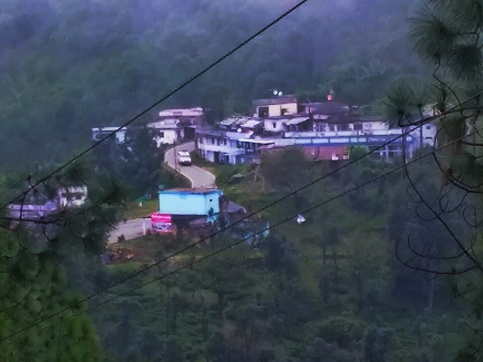 Chaukori Tea Estate