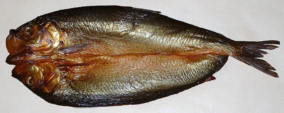 Craster Kipper