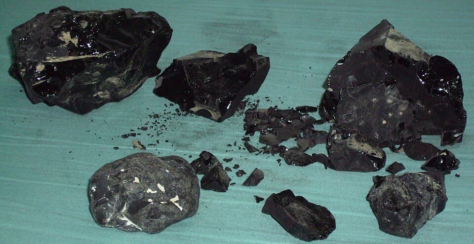 La Brea Tar Pits Artifacts