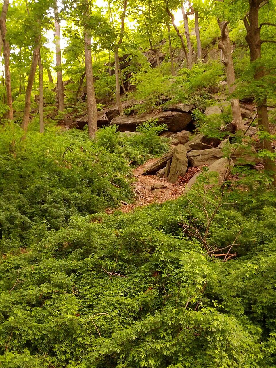 Inwood Hill Park Nature Trail