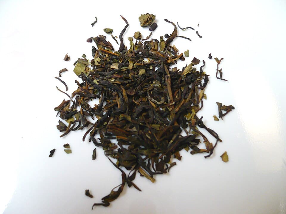 Doddabetta Tea Plantation