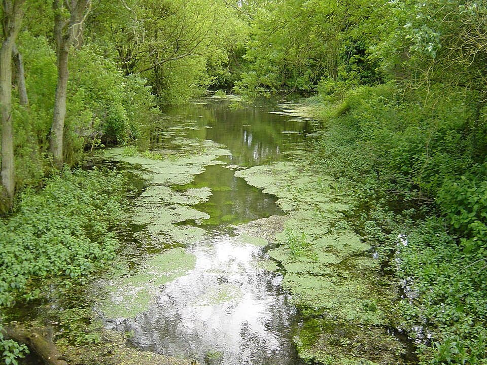 The Meon Valley