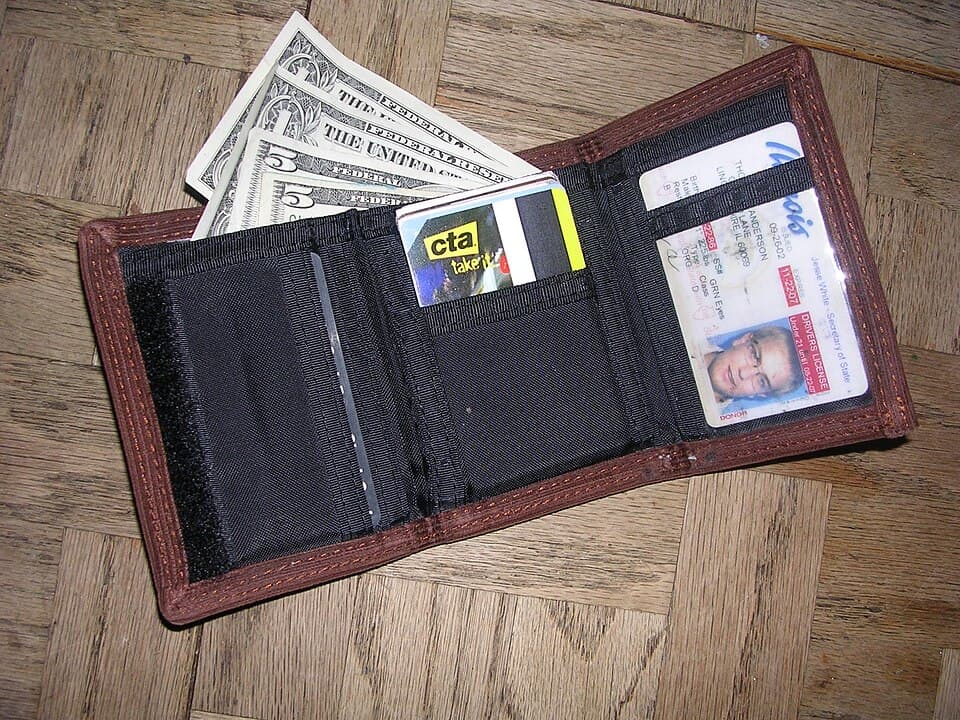 Local Currency Wallet Pouch