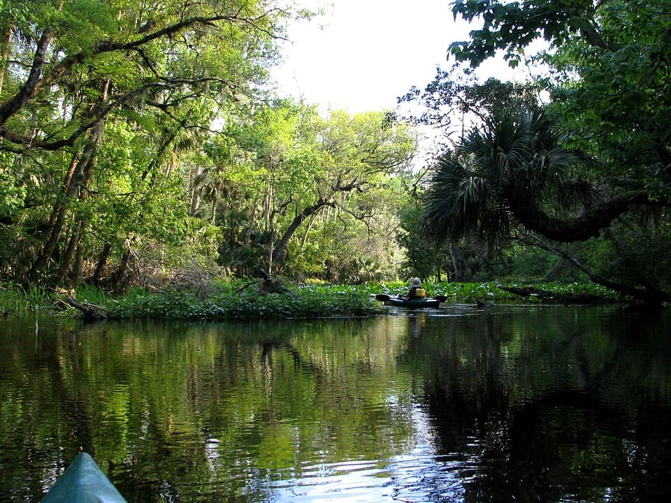 Blue Springs Park