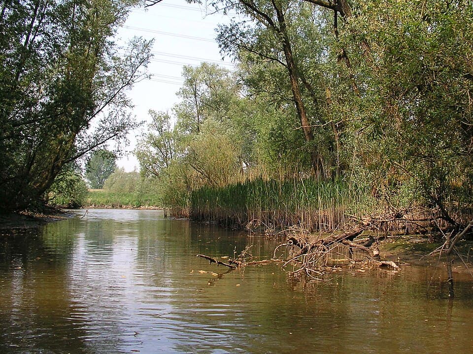 National Park Biesbosch