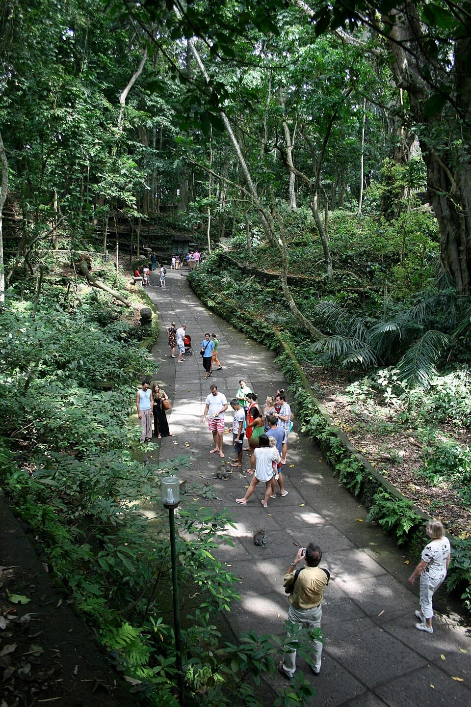 Monkey Forest Sanctuary