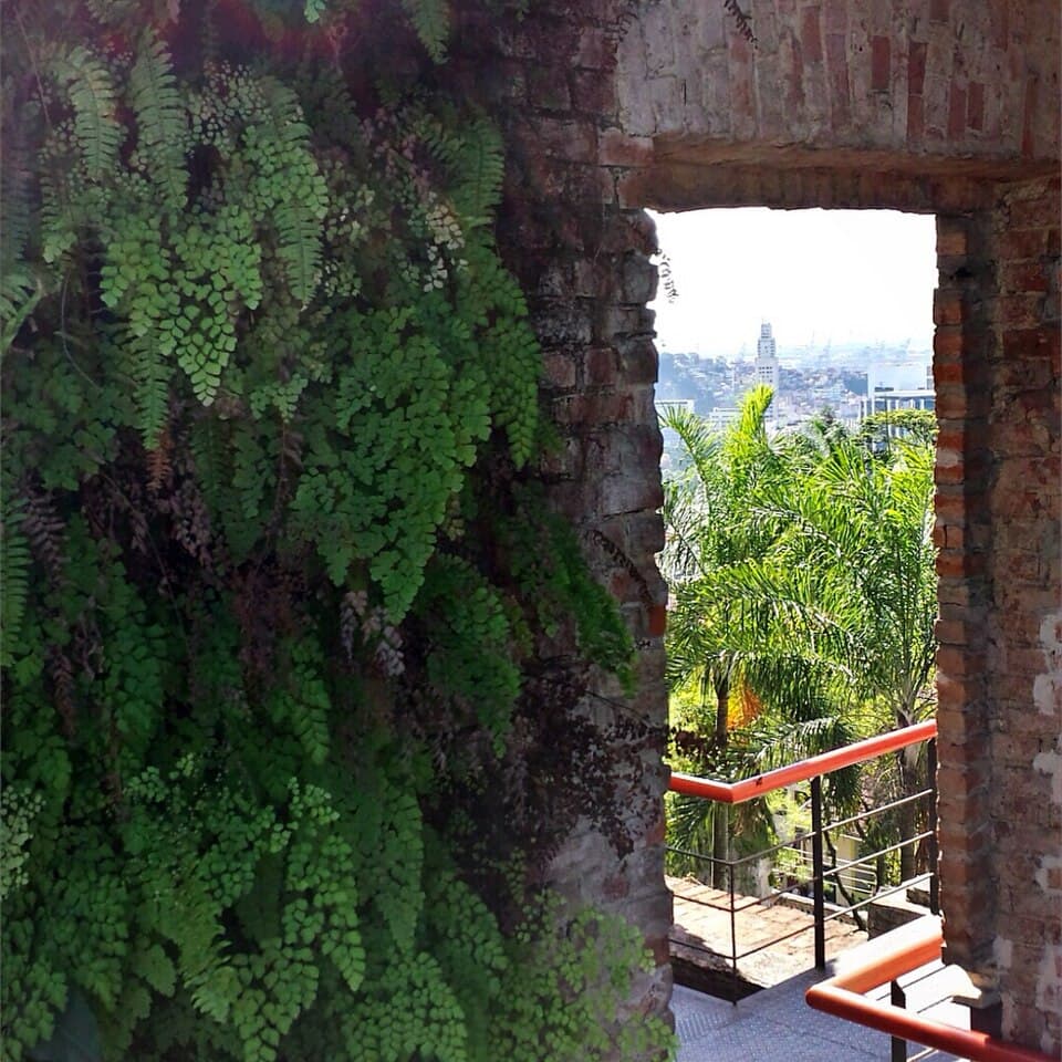 Parque das Ruínas