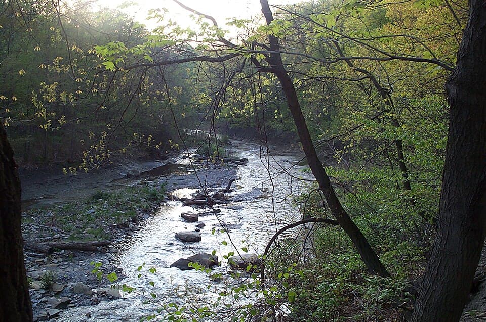 Alex's Fish Camp
