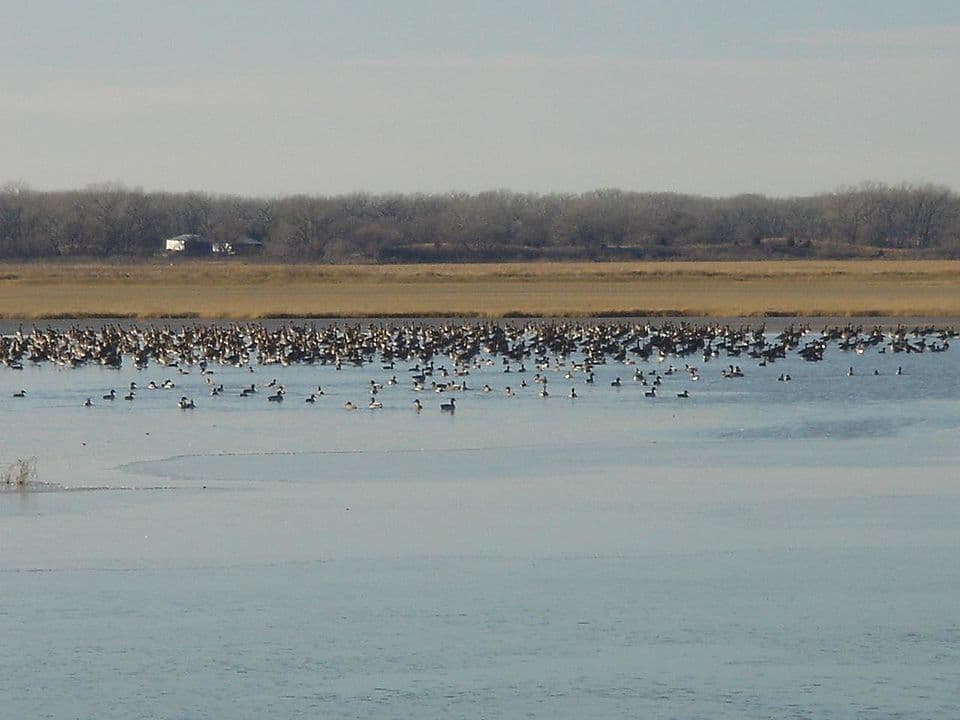 Flamingo Wildlife Refuge