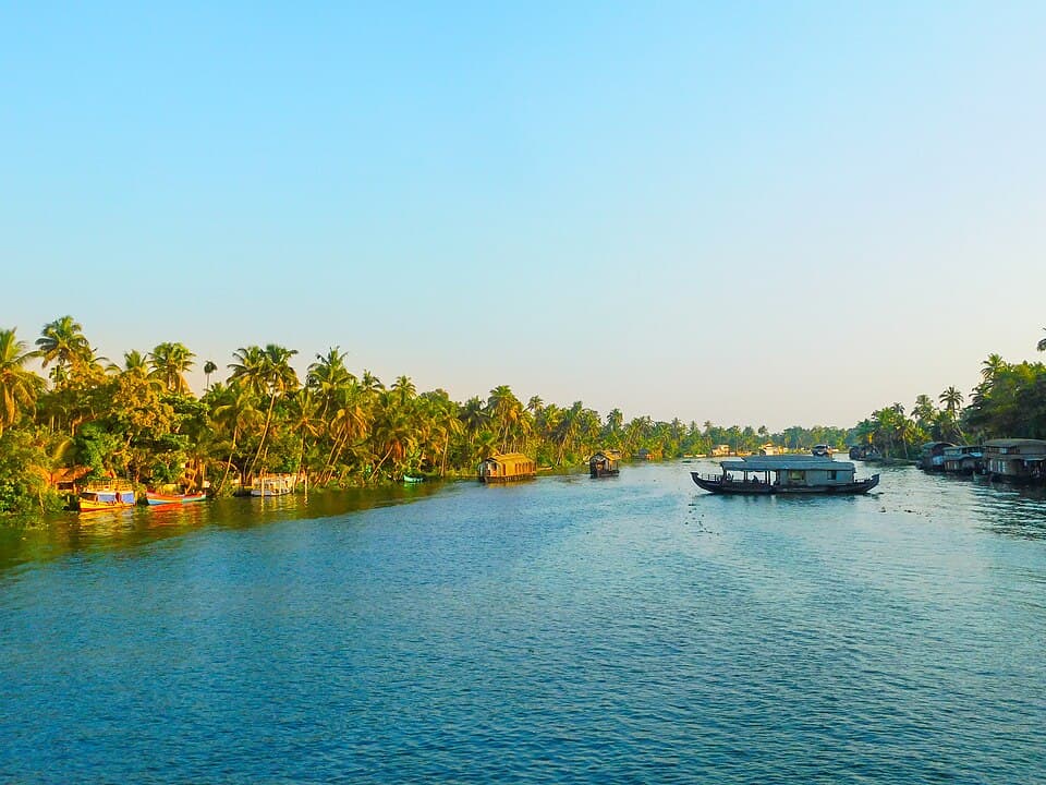 Kumbalangi Bird Sanctuary