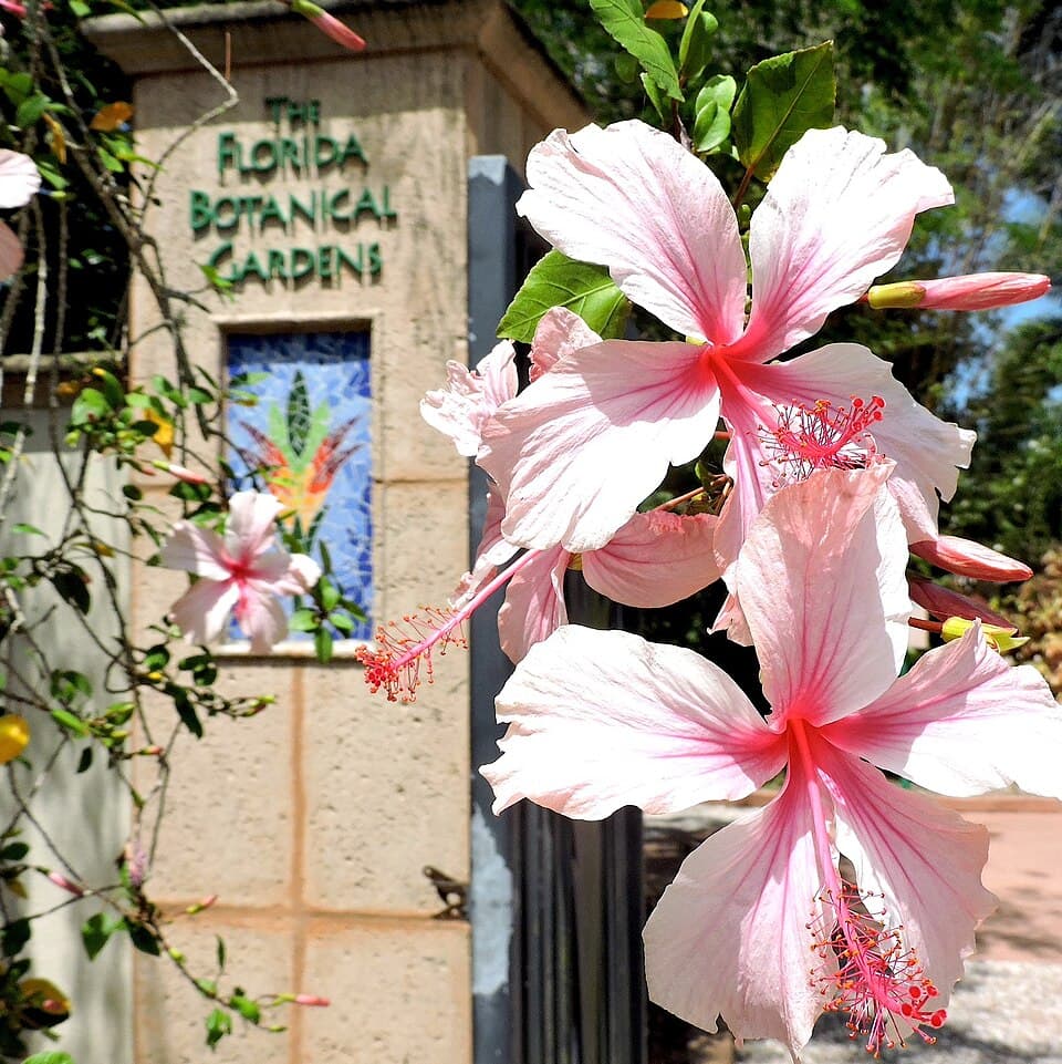 Bay Island Botanical Gardens
