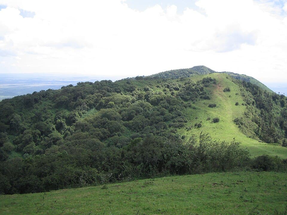 The Hill