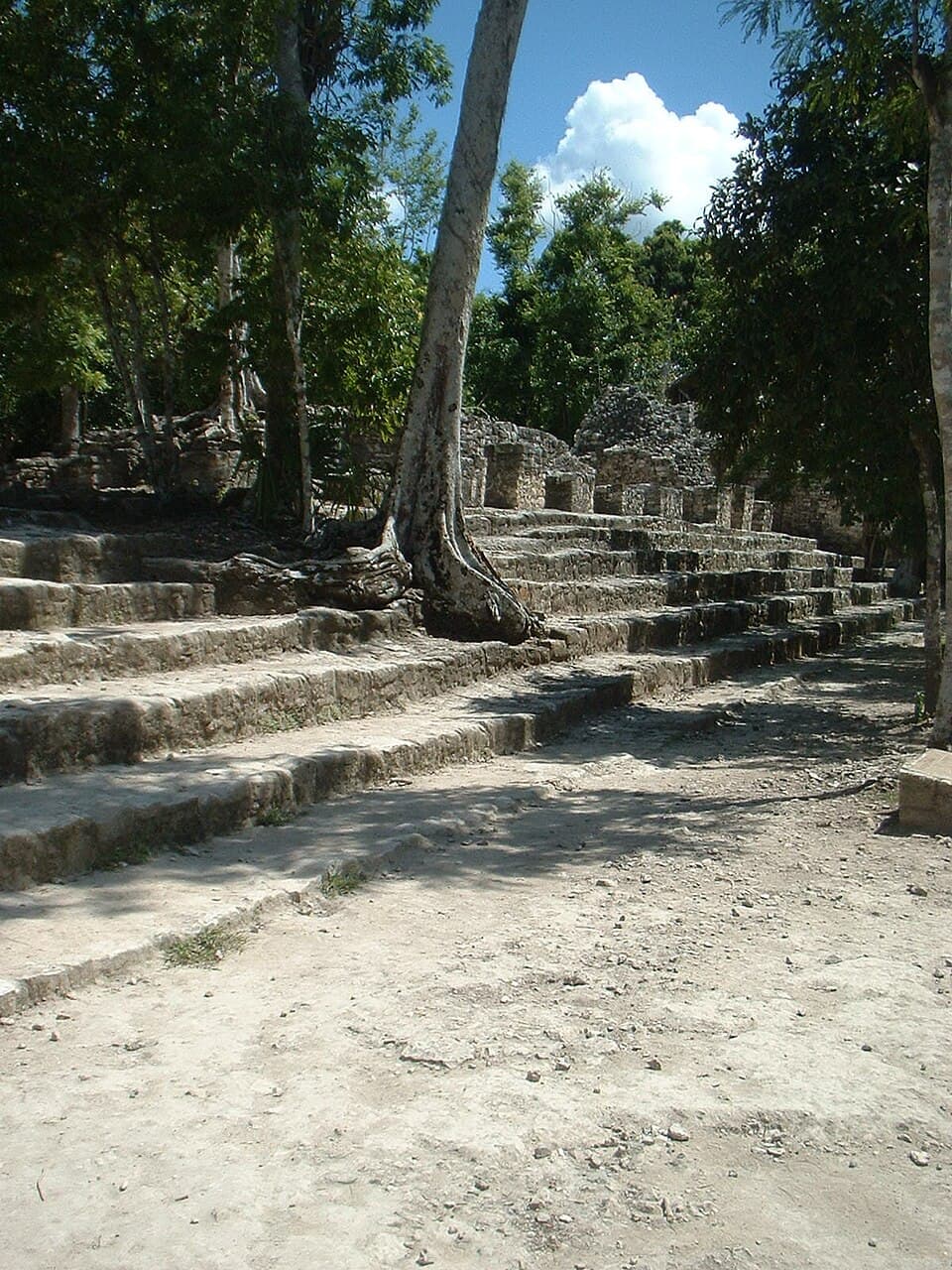 Cobá Mayan Ruins