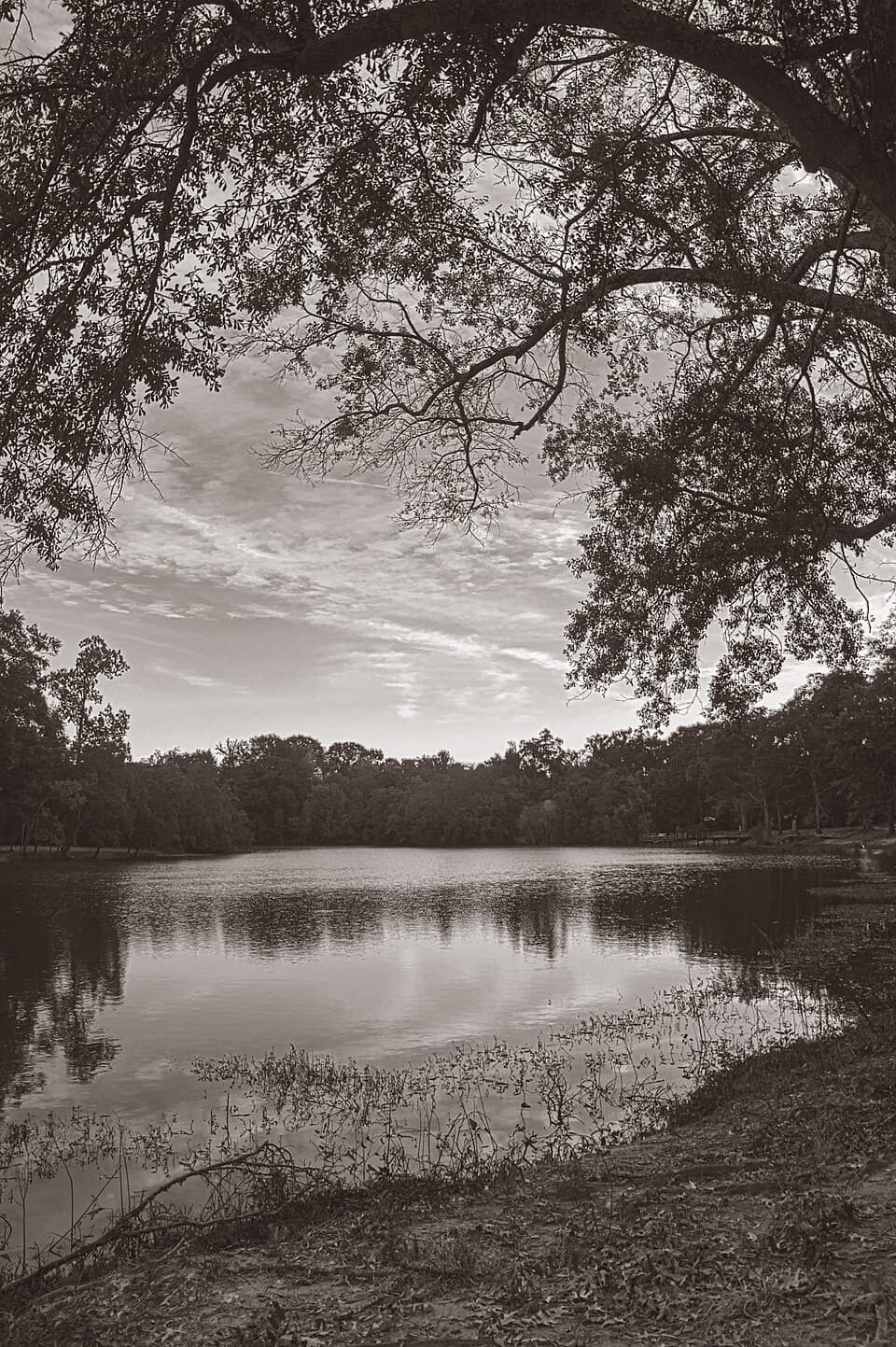 Lefleur's Bluff State Park