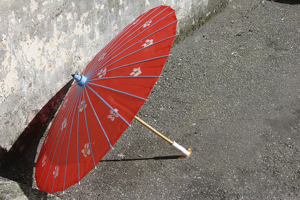 Portable Raincoat