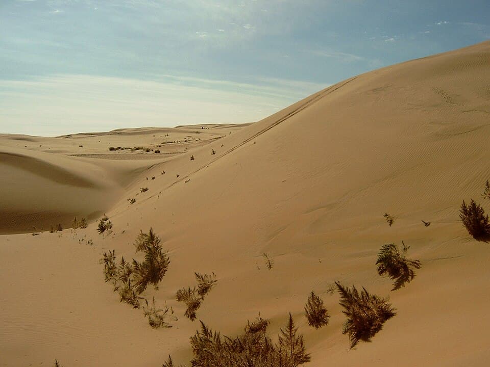 High Desert Pottery
