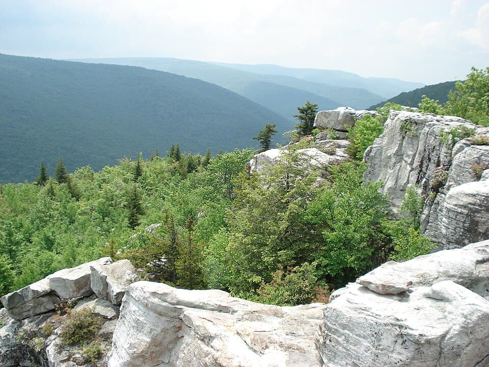 Dolly Sods Wilderness Trail