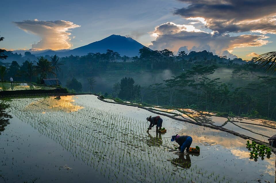 Bumbu Bali