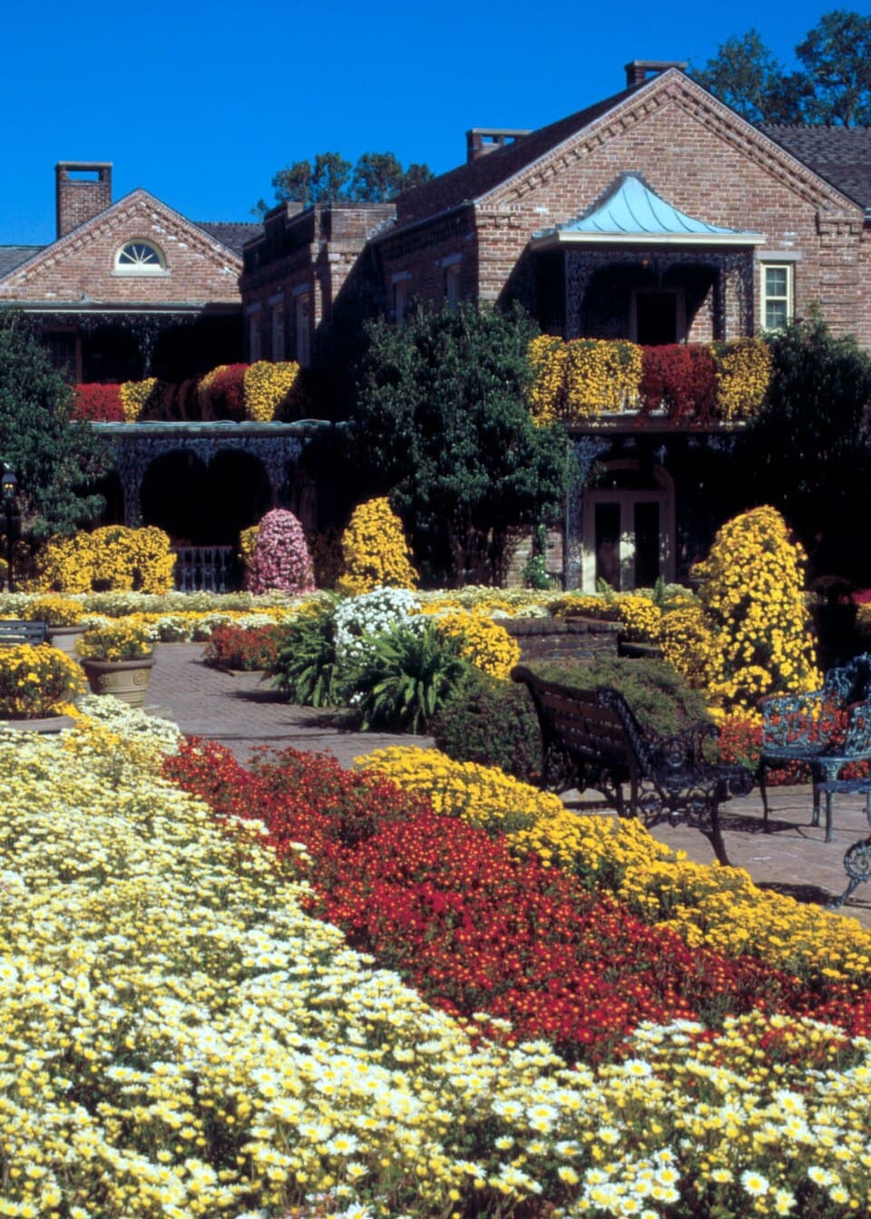 The Historic District