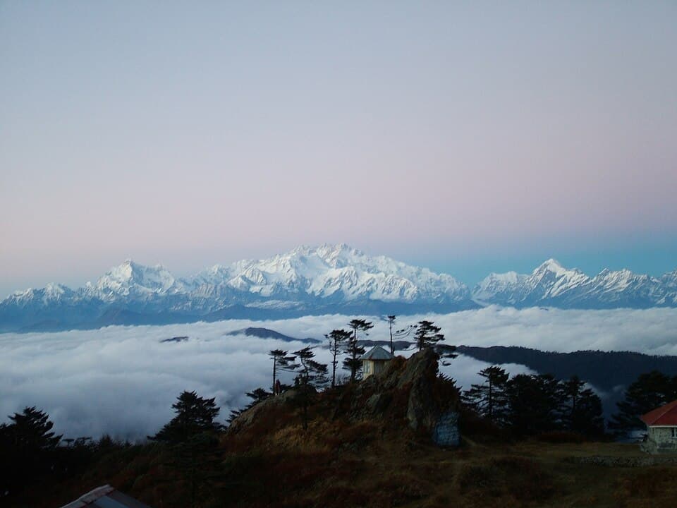 Ilam Tea