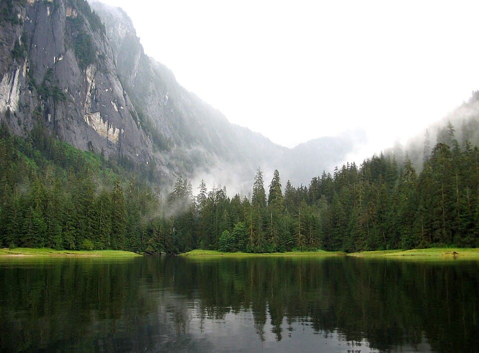 Misty Hill Trail