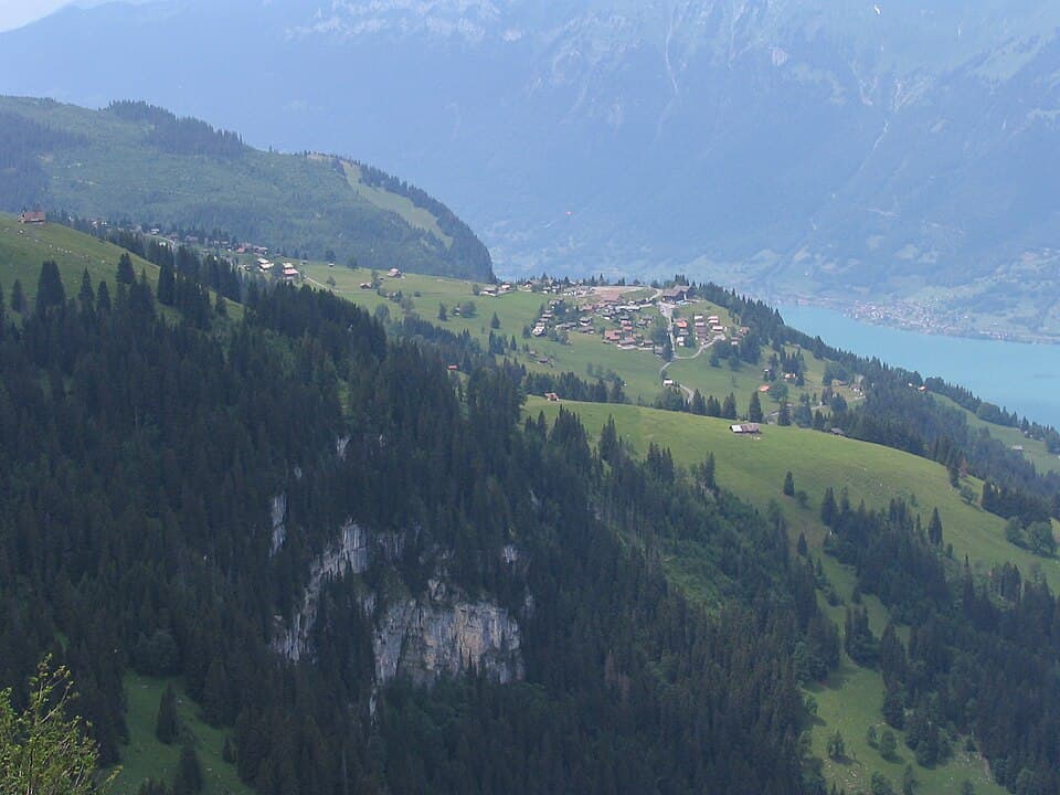 Swiss Alp Cheese
