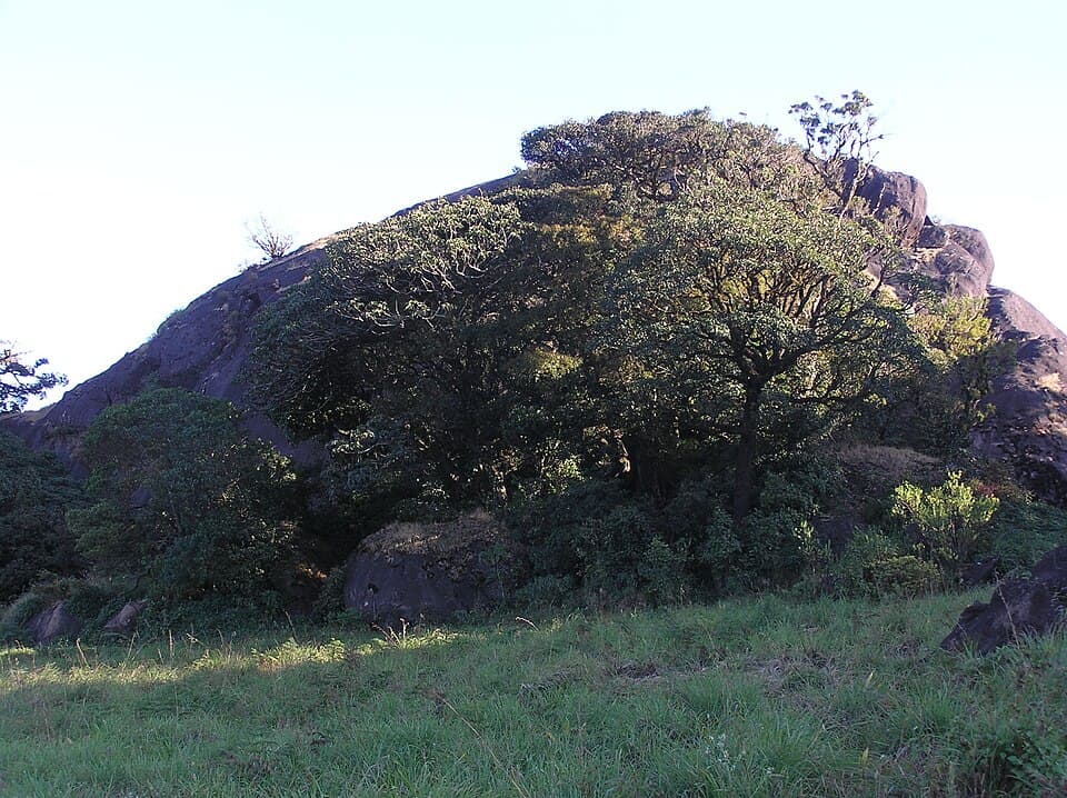 Brahmagiri Mountain
