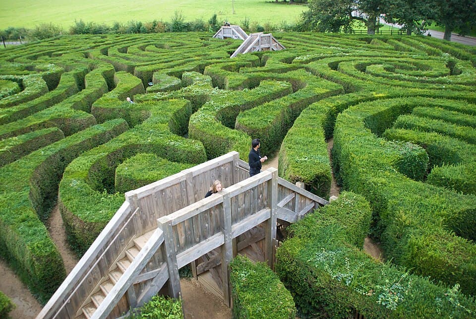 The Island Mirror Maze