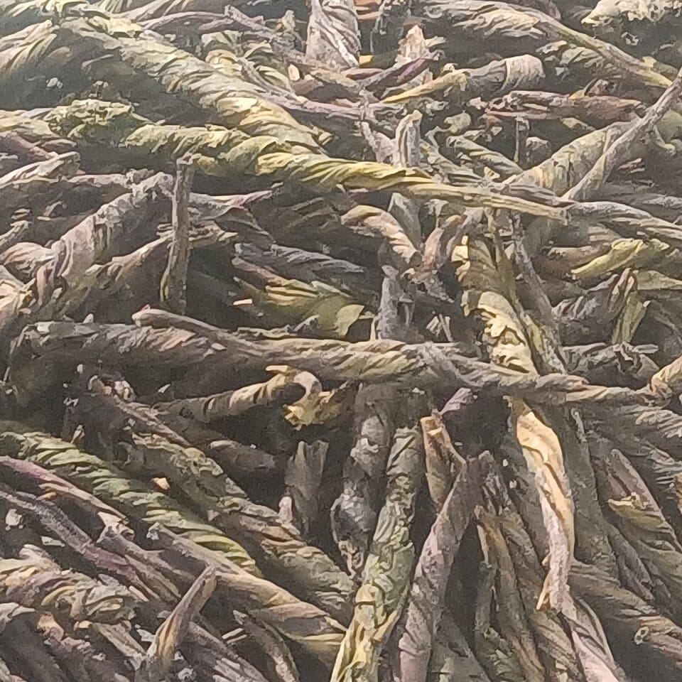 Traditional Chinese Medicine Tea