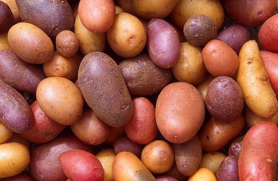 Potato Farm