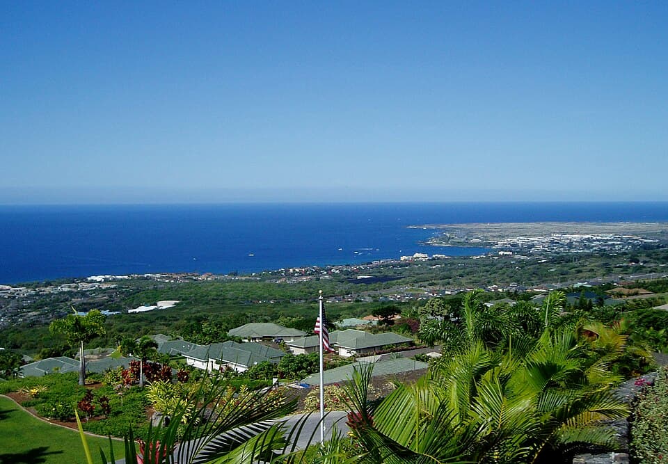 Hilo Coffee