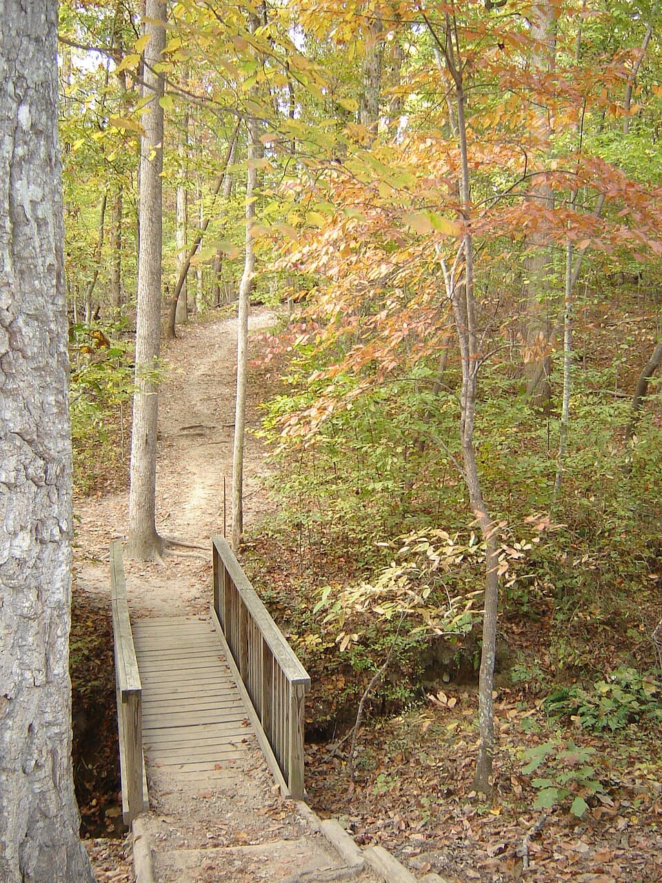 Reedy River Stone