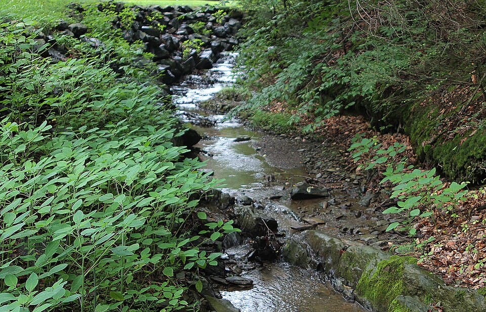 Columbia Montour Ravine