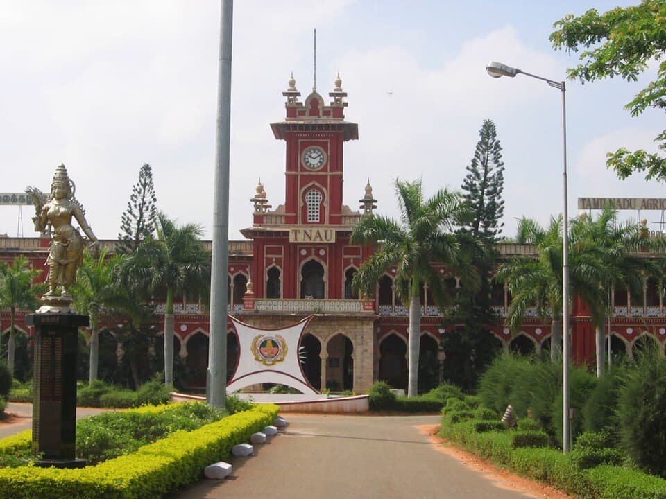 Chettinad Museum