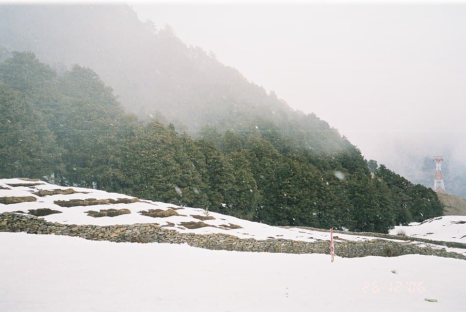 Auli