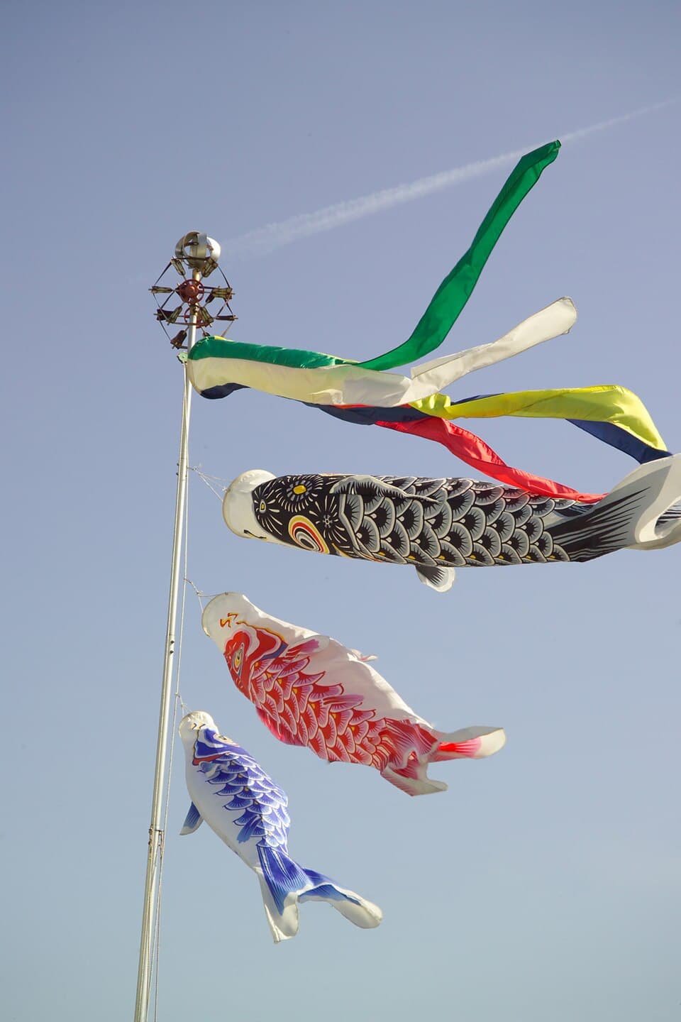 Traditional Japanese Fan