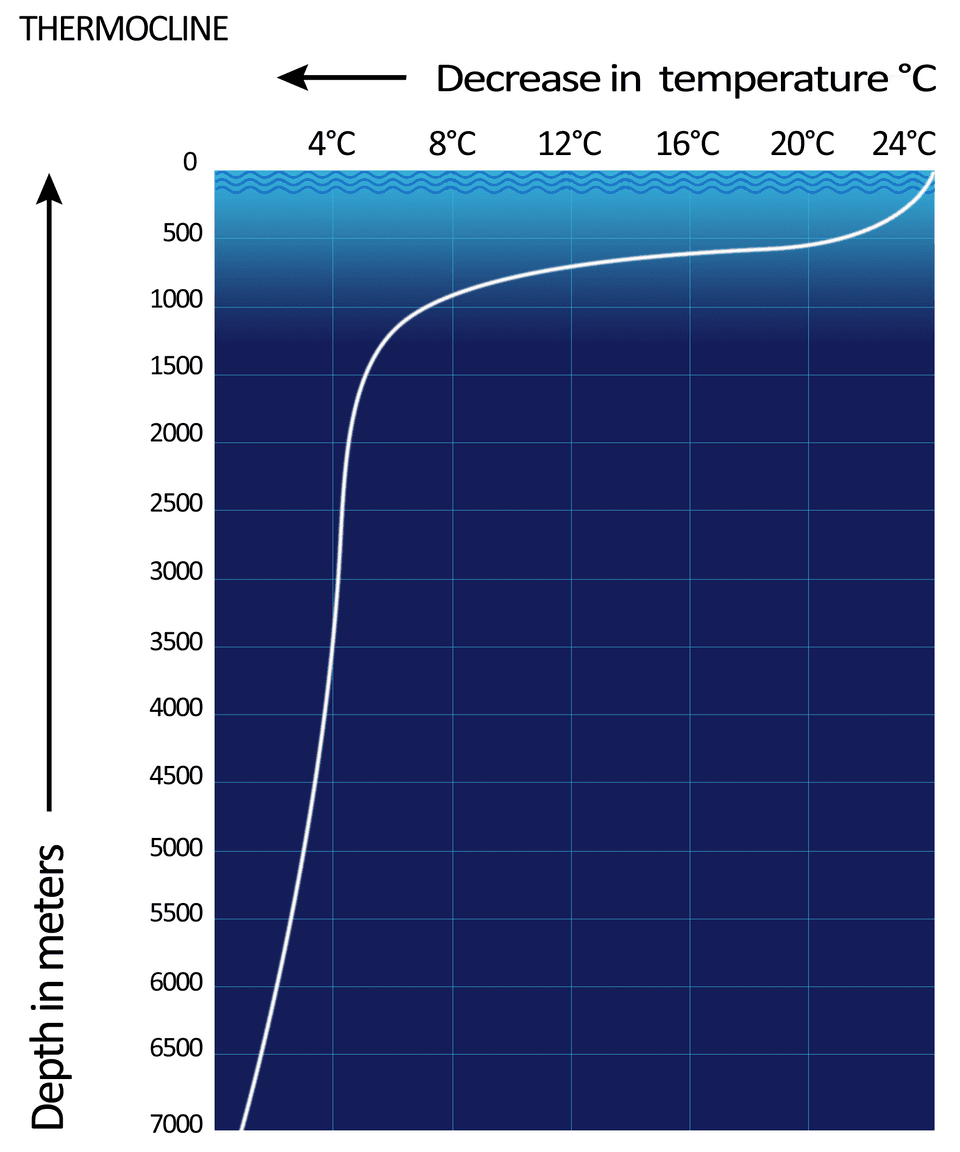 Thermal Base Layers