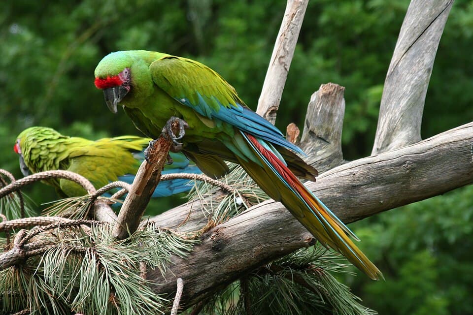 Tortuguero National Park