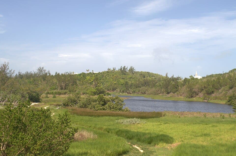 Spittal Pond Nature Reserve